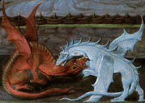 red-white-dragons.gif