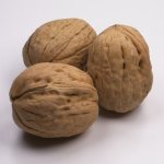 walnuts.jpg