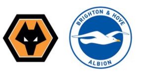 Wolves v Brighton.JPG