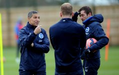 Chris Hughton Albion 8.jpg