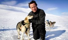 Cameron-leader-of-Britain-007.jpg