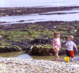 rock-pools-at-Rottingdean.jpg