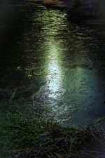 Pond Reflection NSC.jpg