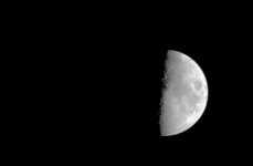 Half Moon.jpg