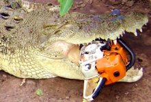 croc chainsaw.jpg