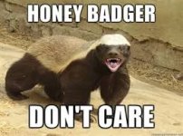 1badgerdontcare.jpg