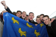 sussex flag bha 3.png