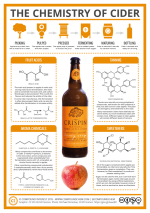 The-Chemistry-of-Cider-724x1024.png