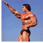 arnold.gif