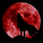 blood_moon_wolf_2_by_goldenwolf95-d6p3mrs.jpg