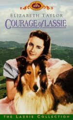 01_Courage_of_Lassie.jpg