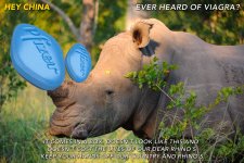rhino-horn-viagra-china-rhino-poaching-south-africa-rhinofriday.jpg