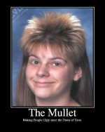 1278528120-themullet_2_.png