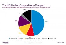 UKIP3-800x553.jpg