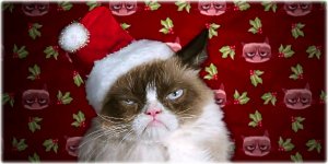 o-GRUMPY-CAT-CHRISTMAS-facebook.jpg