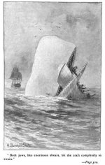 382px-Moby_Dick_p510_illustration1-318x500.jpg