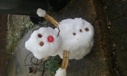 20160117_101942.jpg