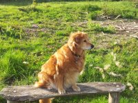 2012-05-12 17.52.19.jpg