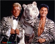 siegfried_roy_tiger_2_r.jpg