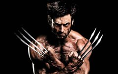 Wolverine-4-1024x640.jpg