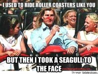 coasterseagull.jpg