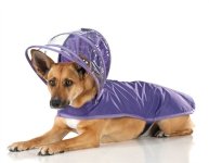 push_pushi_dog_raincoat_purple.jpeg