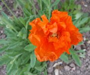 20160425_090511-1.jpg