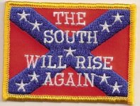 The-South-Will-Rise-Again-300x2291.jpg