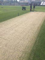 Wicket 11.jpg