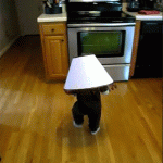 baby-runs-into-oven-with-lampshade-on-head.gif