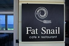 fat-snail.jpg