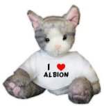plush-stuffed-cat-kit-kat-toy-with-i-love-albion-t-shirt-first-name-surname-nickname_12840680.jpeg