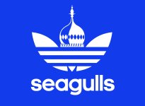 seagulls-adidas.jpg