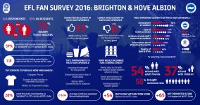 EFL survey brighton.jpg