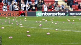 pigs.jpg pigs.jpg