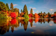 Sheffield Park Reflections NSC.jpg