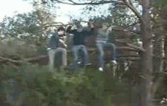 1250499942_tree_branch_saw_fail.gif