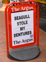 The-Argus.jpg