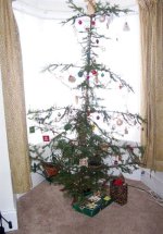 dave%u00252527s-christmas-tree.jpg