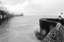 elvis-groyne copy.jpg