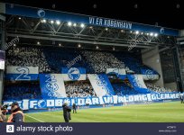 denmark-copenhagen-november-2nd-2016-the-fc-copenhagen-fans-welcome-H73WY1.jpg