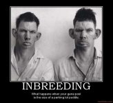 inbreeding-there-s-nothing-wrong-that-a-45-wouldn-t-solve-demotivational-poster-1269751743.jpg