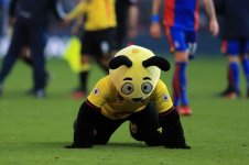 Watford-v-Crystal-Palace-Premier-League.jpg