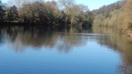 20170102_123540.jpg