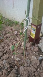 DSC_0248-min.JPG DSC_0248-min.JPG