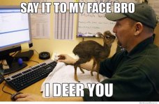 i-deer-you.jpeg