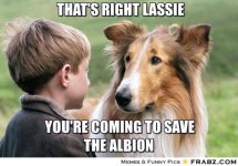 frabz-Thats-right-Lassie-Youre-coming-to-save-The-Albion-3d435e.jpg