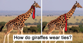 how-giraffes-wear-ties-fb.png