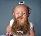 Bearded-Baby-Girl-with-a-Ribbon-98586.jpg