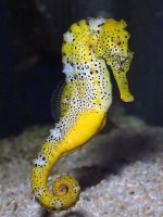 8e93aeda9f26c403b61db8b10c6077ad.jpg 8e93aeda9f26c403b61db8b10c6077ad.jpg